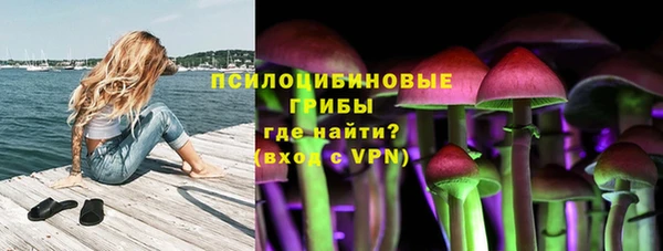 ALPHA-PVP Аркадак