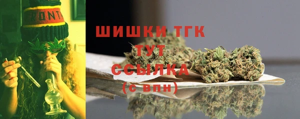 индика Арсеньев