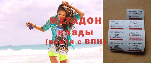 индика Арсеньев