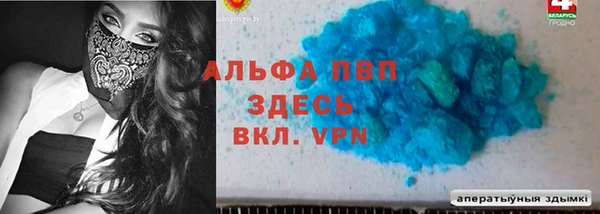 индика Арсеньев