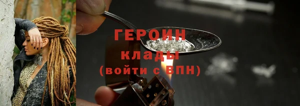 индика Арсеньев