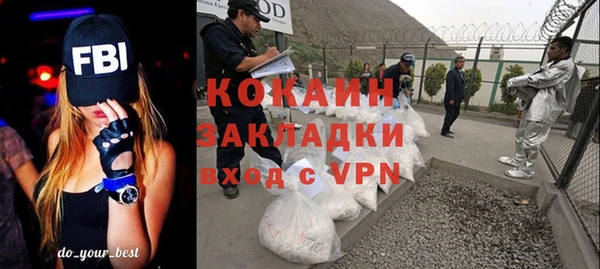 индика Арсеньев