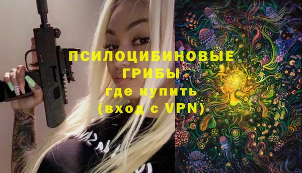 индика Арсеньев