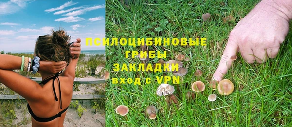 ALPHA-PVP Аркадак