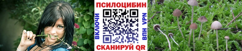 Купить закладки  Кимры  Псилоцибиновые грибы MAGIC MUSHROOMS 